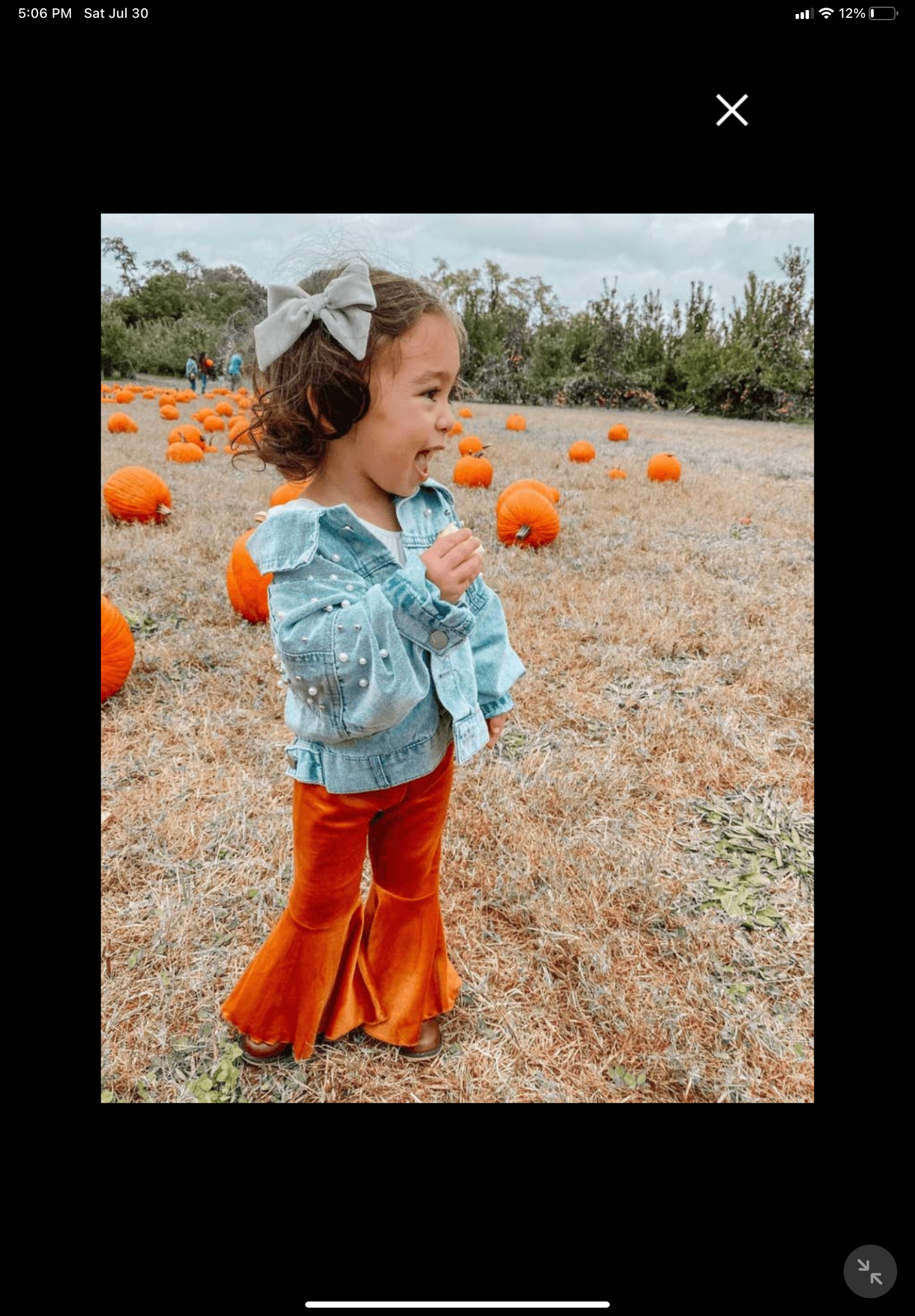 Bailey's Blossoms - Lina Pleated Velour Bell Bottoms - Camel