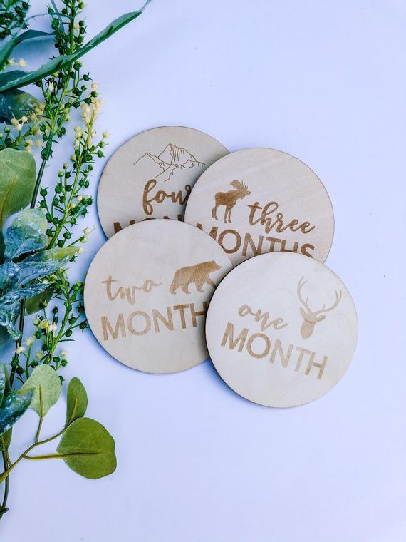 Wooden Monthly Milestone Discs 13 PC Set Woodland Animal