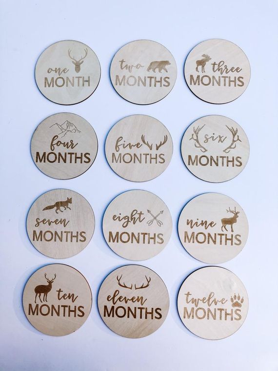 Wooden Monthly Milestone Discs 13 PC Set Woodland Animal